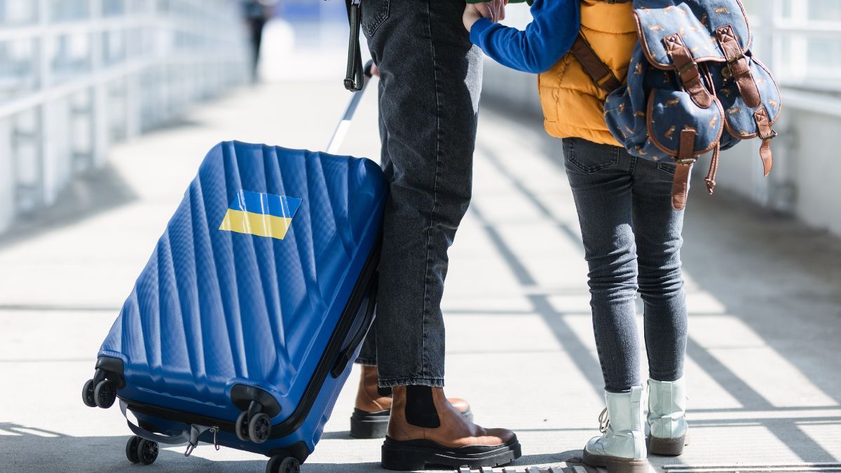 Переселенці в Україні Переселенці в Україні
