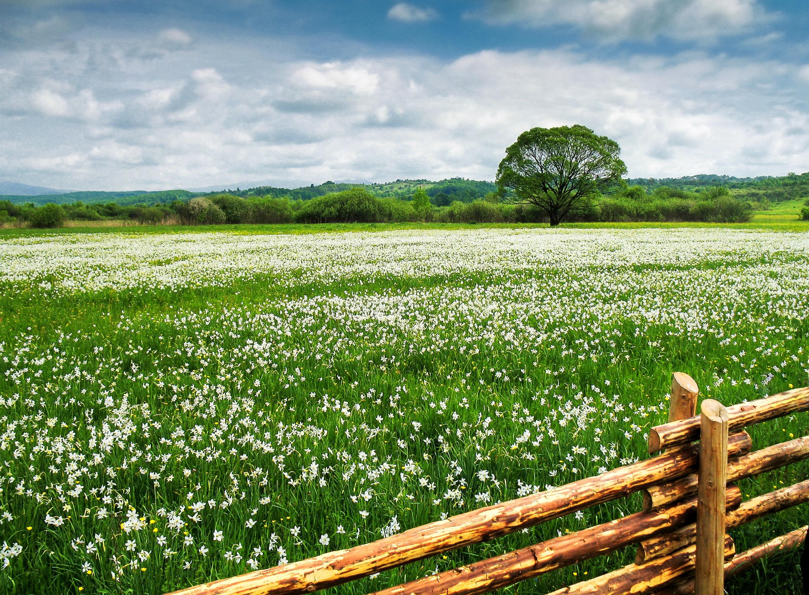 Погода в Україні 25 червня Погода в Україні 25 червня