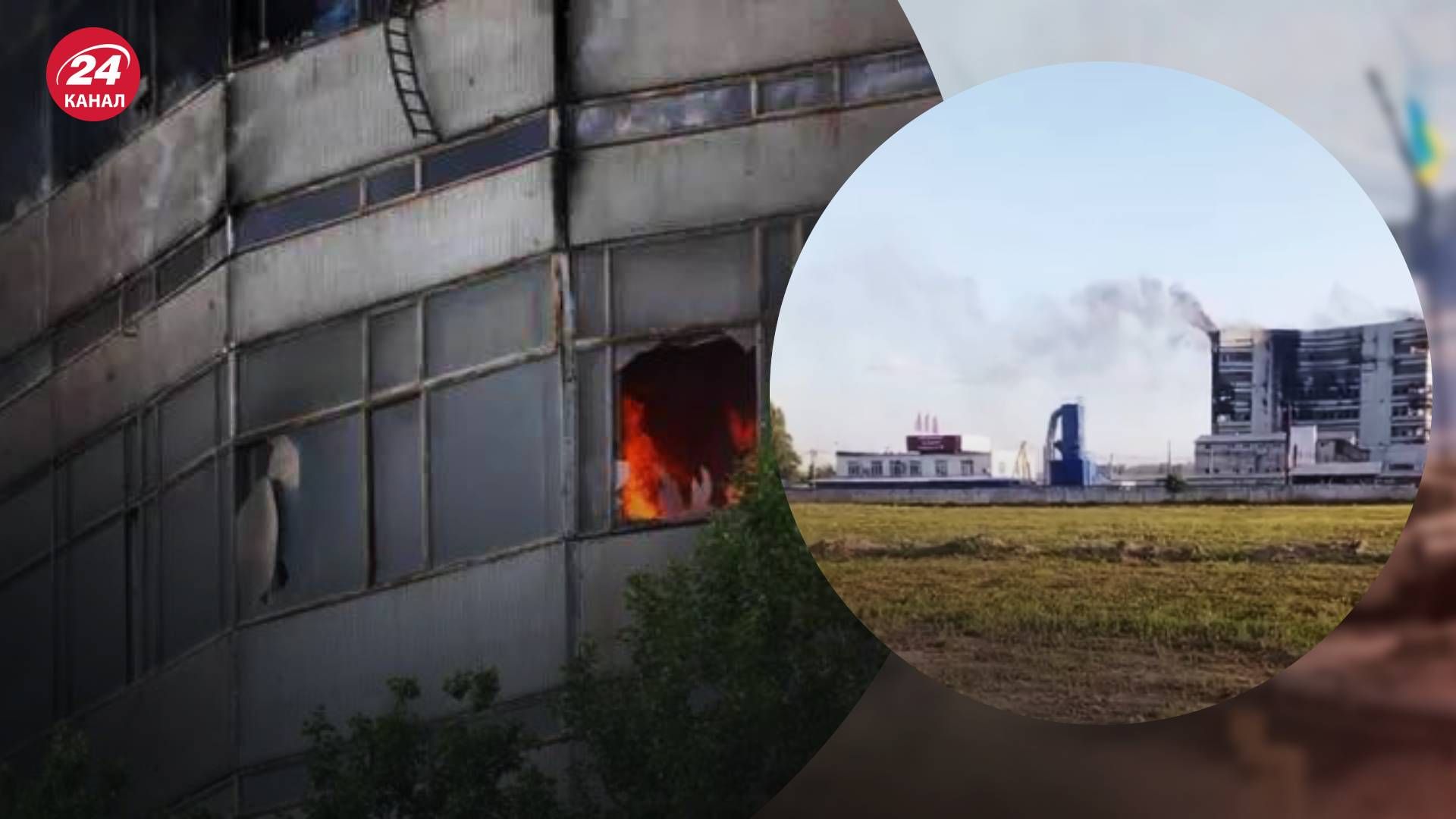 "Платан", який горів напередодні, знову спалахнув - 24 Канал "Платан", який горів напередодні, знову спалахнув - 24 Канал