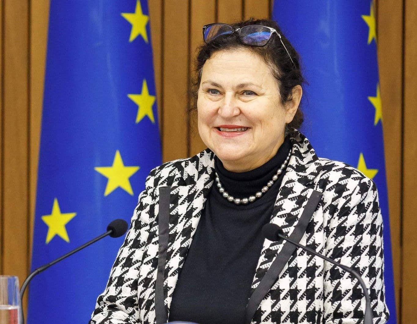 Сколько лет ждать: посол ЕС назвала реалистичную дату вступления Украины - 24 Канал