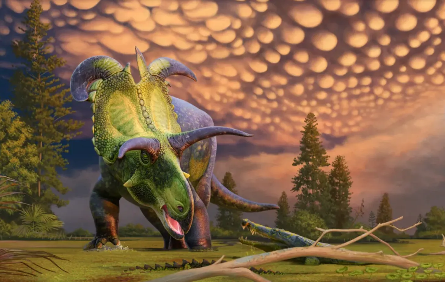 Реконструкция Локицератопса в болотах возрастом 78 миллионов лет Реконструкция Локицератопса в болотах возрастом 78 миллионов лет