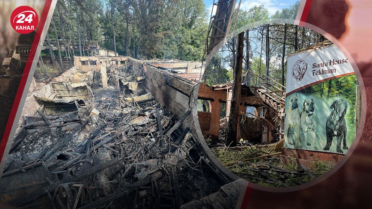 Удар по экопарку в Харькове Удар по экопарку в Харькове