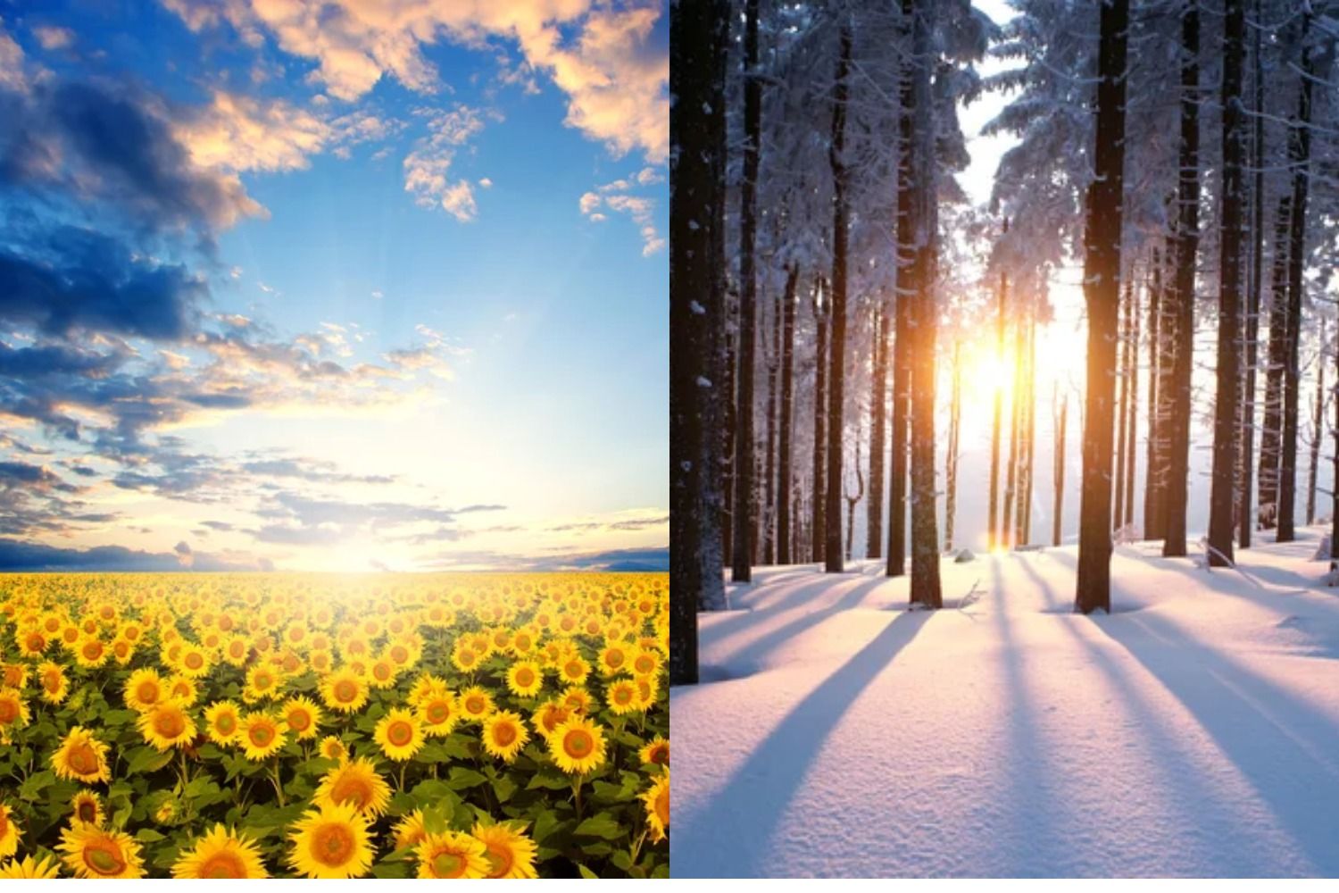 Місяці українською мовою - як правильно назвати май, іюль, март, январь Місяці українською мовою - як правильно назвати май, іюль, март, январь