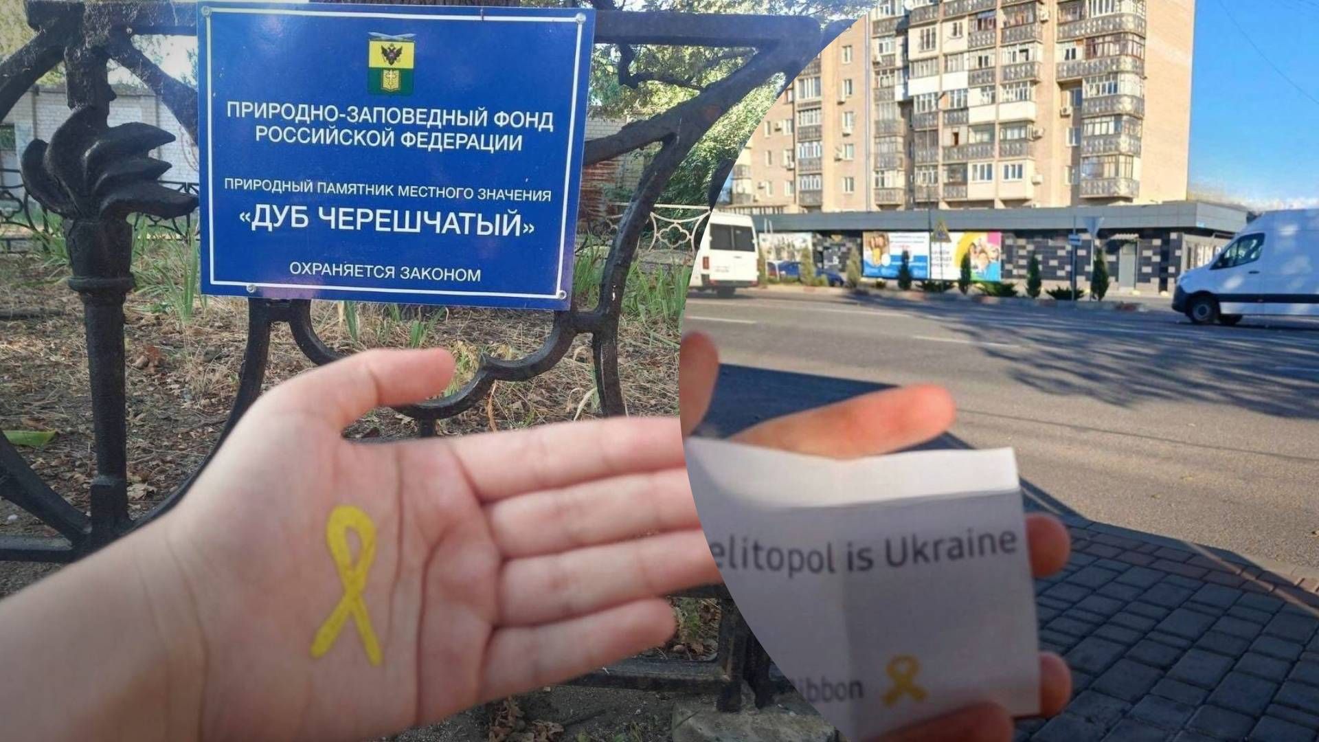 Флешмоб "Це — Україна" у Мелітополі - 24 Канал
