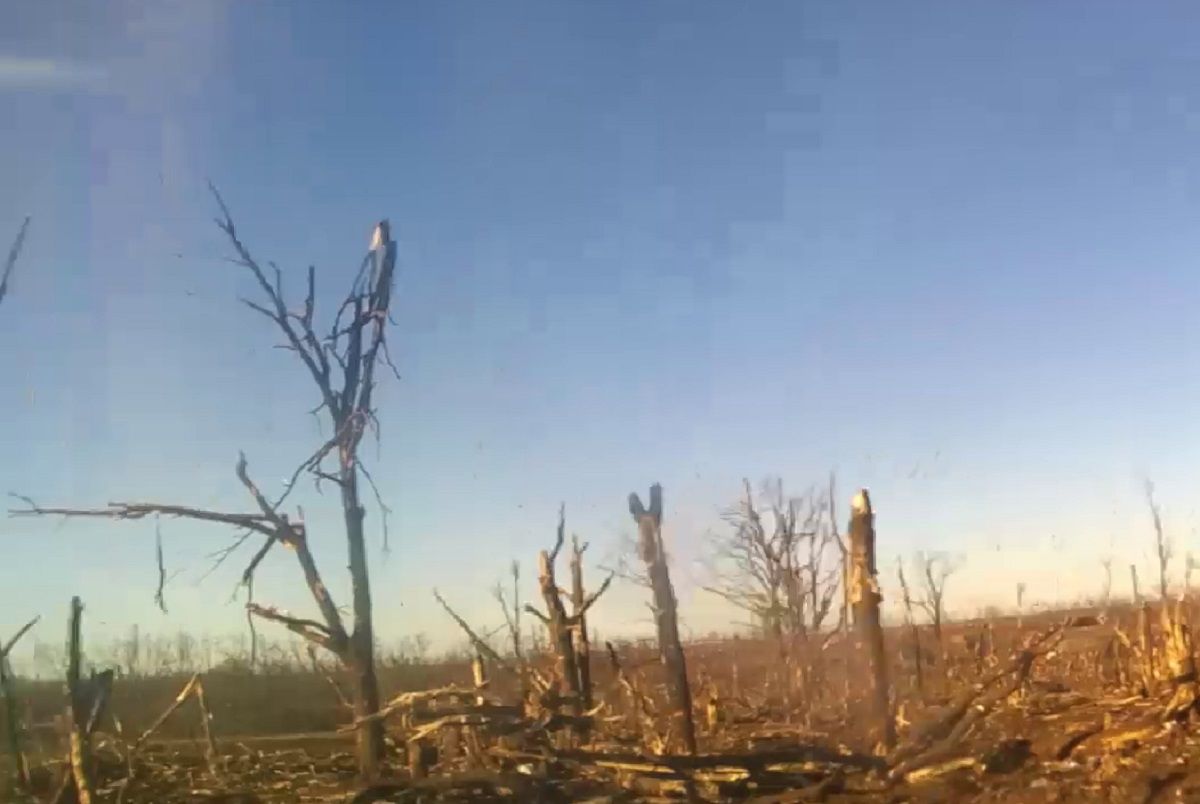 Сили оборони відбили позиції біля Тернів: "Азов" показав кадри боїв - 24 Канал Сили оборони відбили позиції біля Тернів: "Азов" показав кадри боїв - 24 Канал