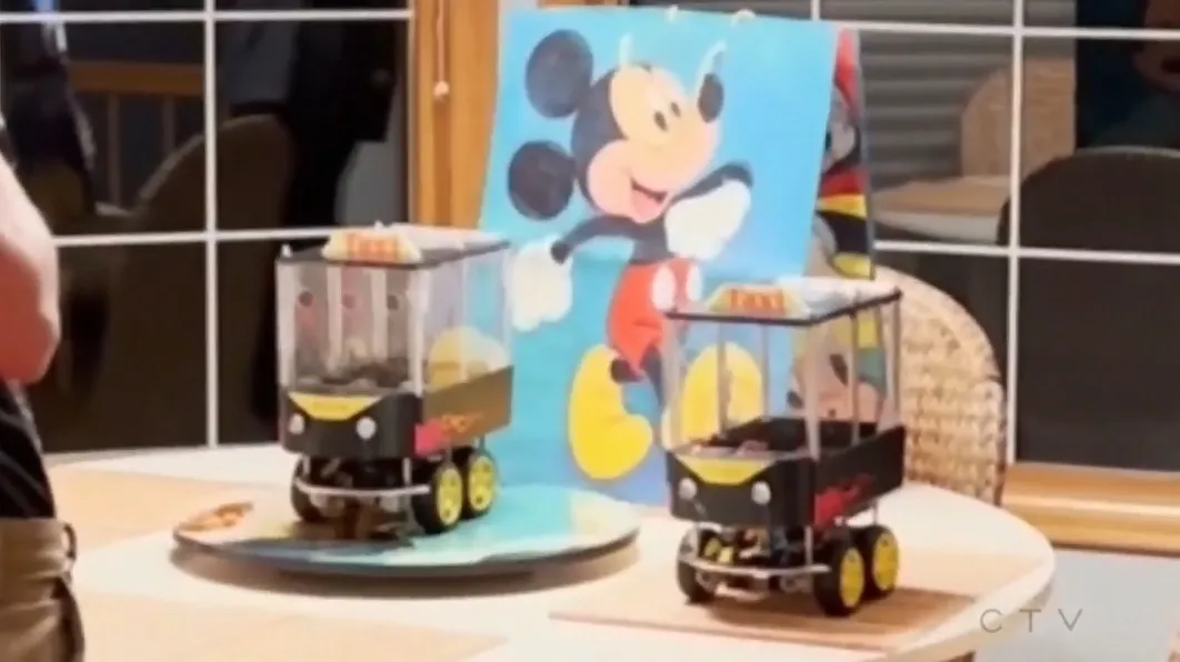 Оба автомобиля Оба автомобиля