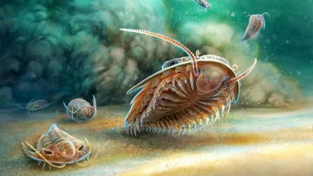 Анатомія давніх кембрійських трилобітів відтворена за допомогою 3D-сканування Анатомія давніх кембрійських трилобітів відтворена за допомогою 3D-сканування