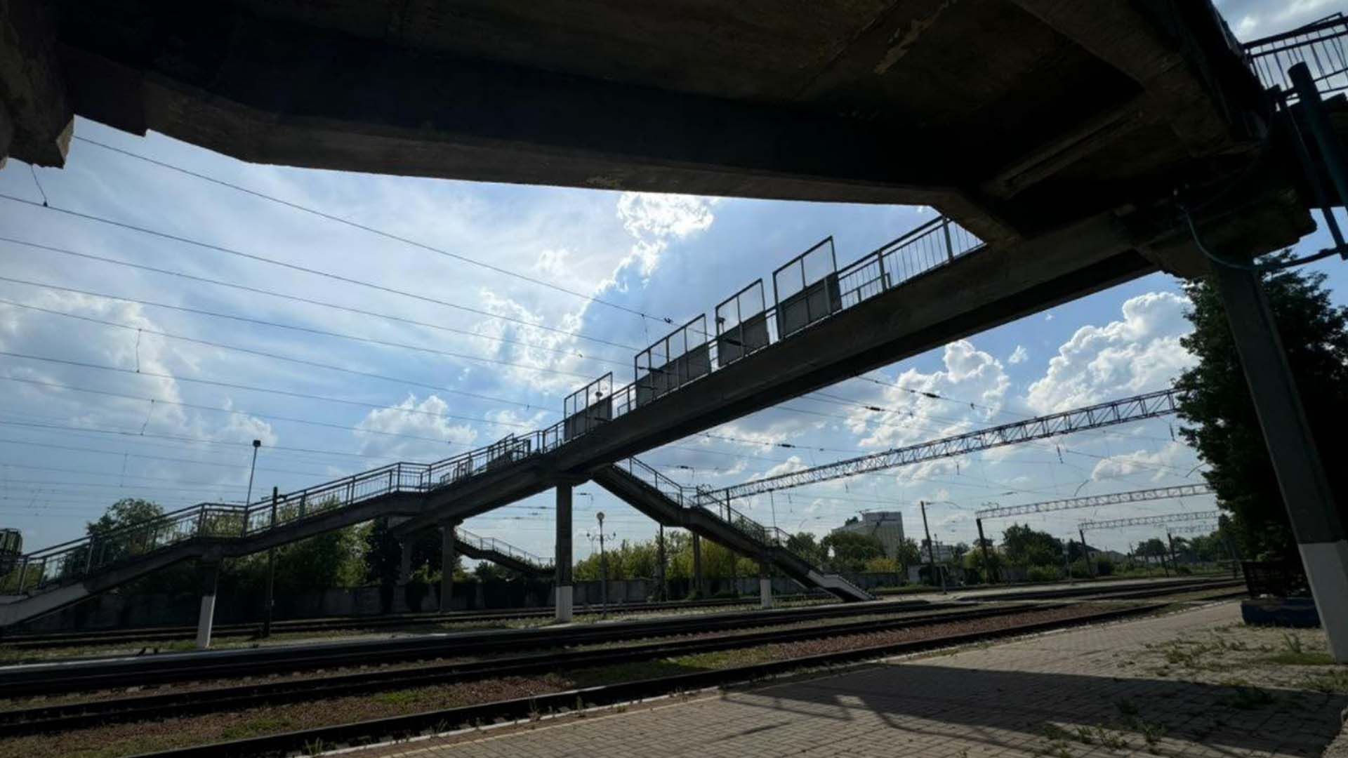 Поліцейські Київщини розслідують факт жорстокого поводження з тваринкою у Яготині