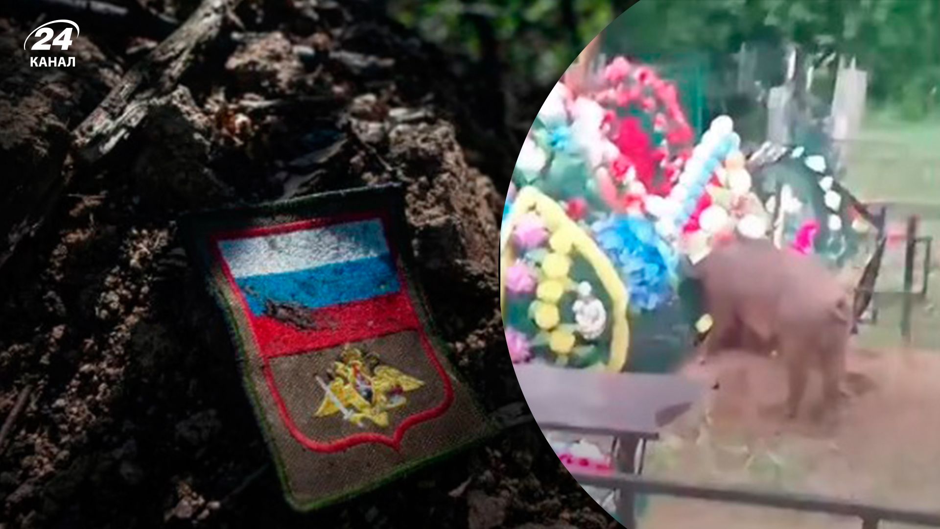 В России свиньи разрывают могилы оккупантов
