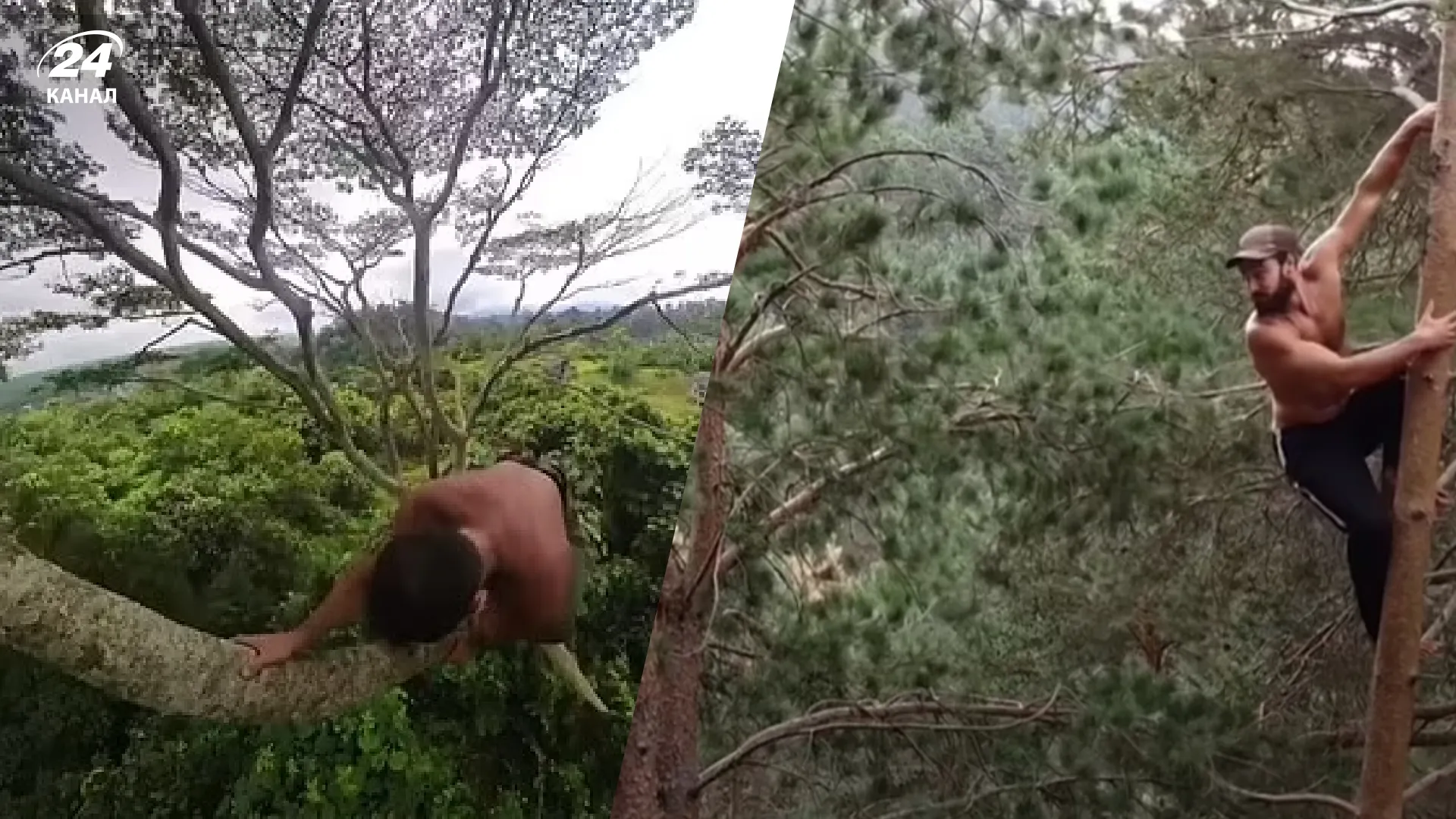 Паркур в джунглях Паркур в джунглях
