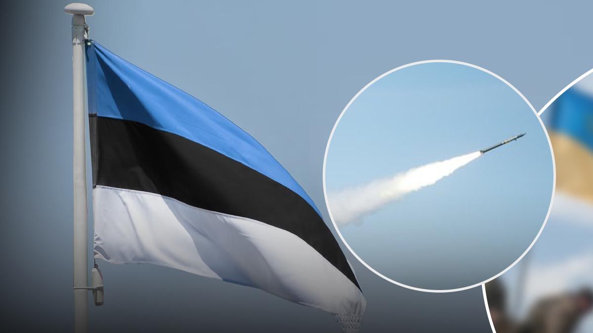 Помощь от Эстонии в виде ЗРК Mistral и ракет