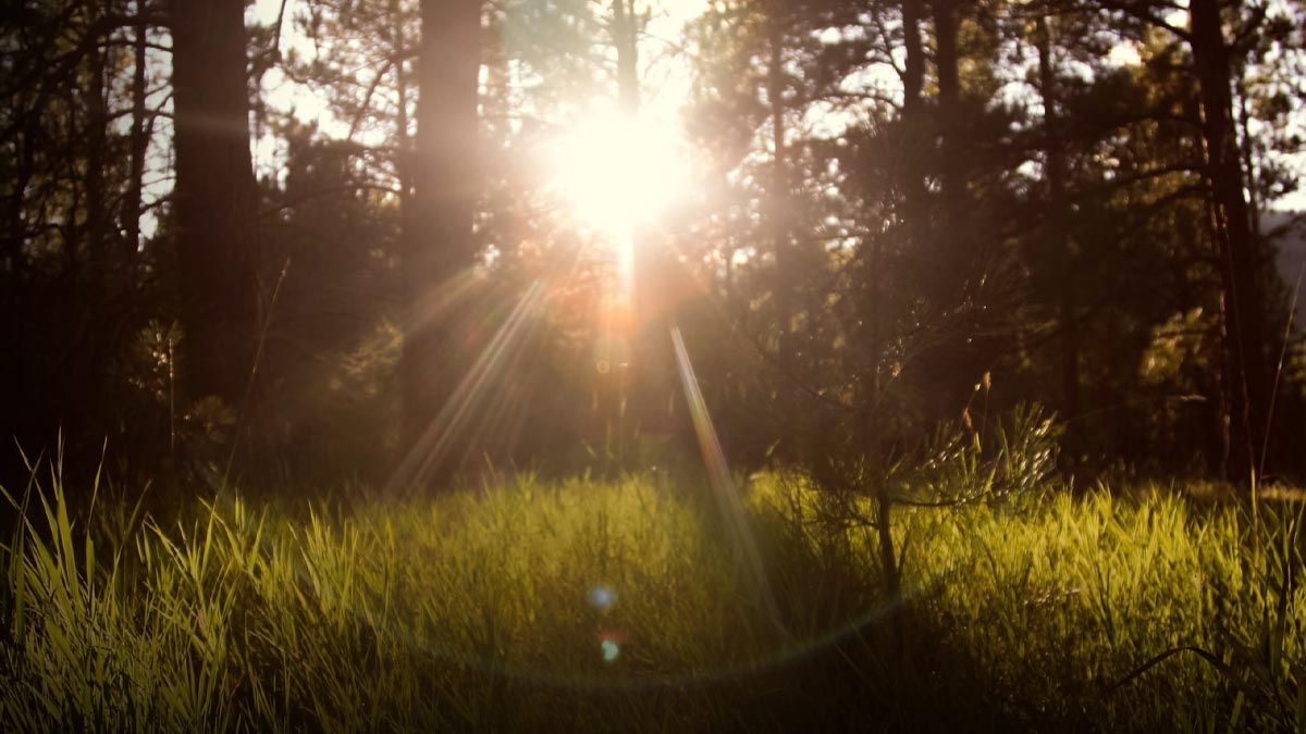 Какой будет погода в Украине 8 июля Какой будет погода в Украине 8 июля