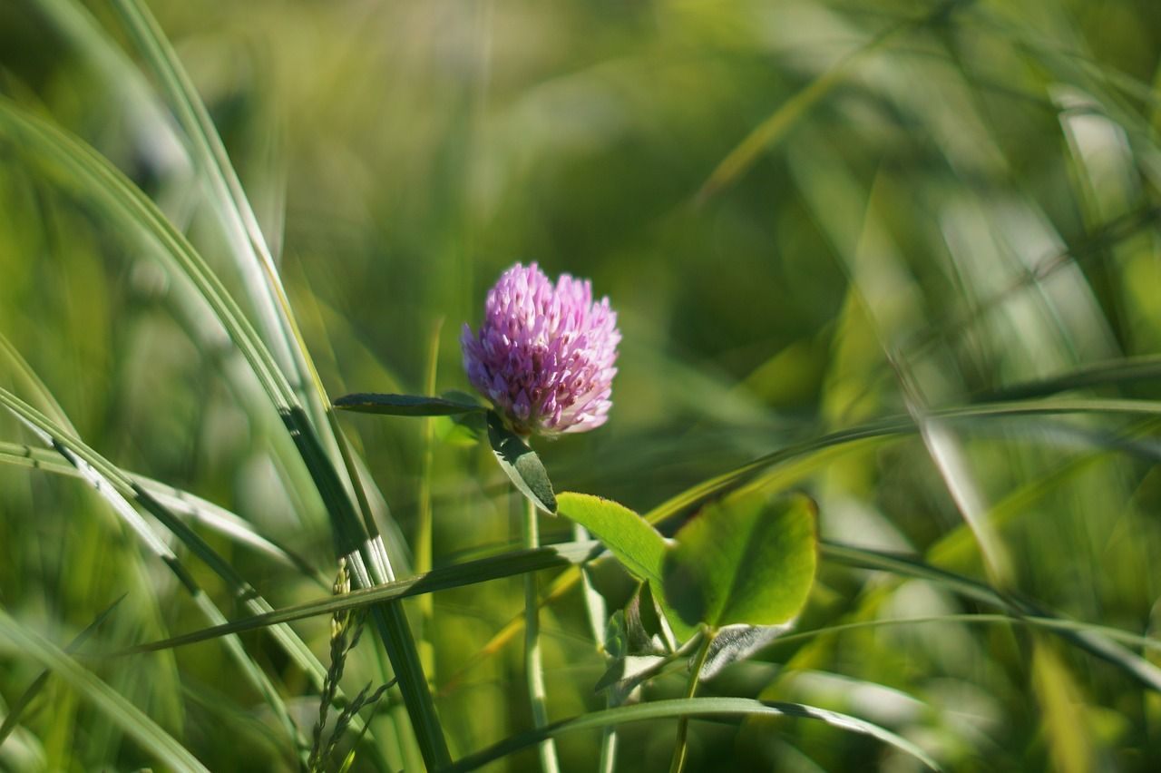 Прогноз погоди Прогноз погоди