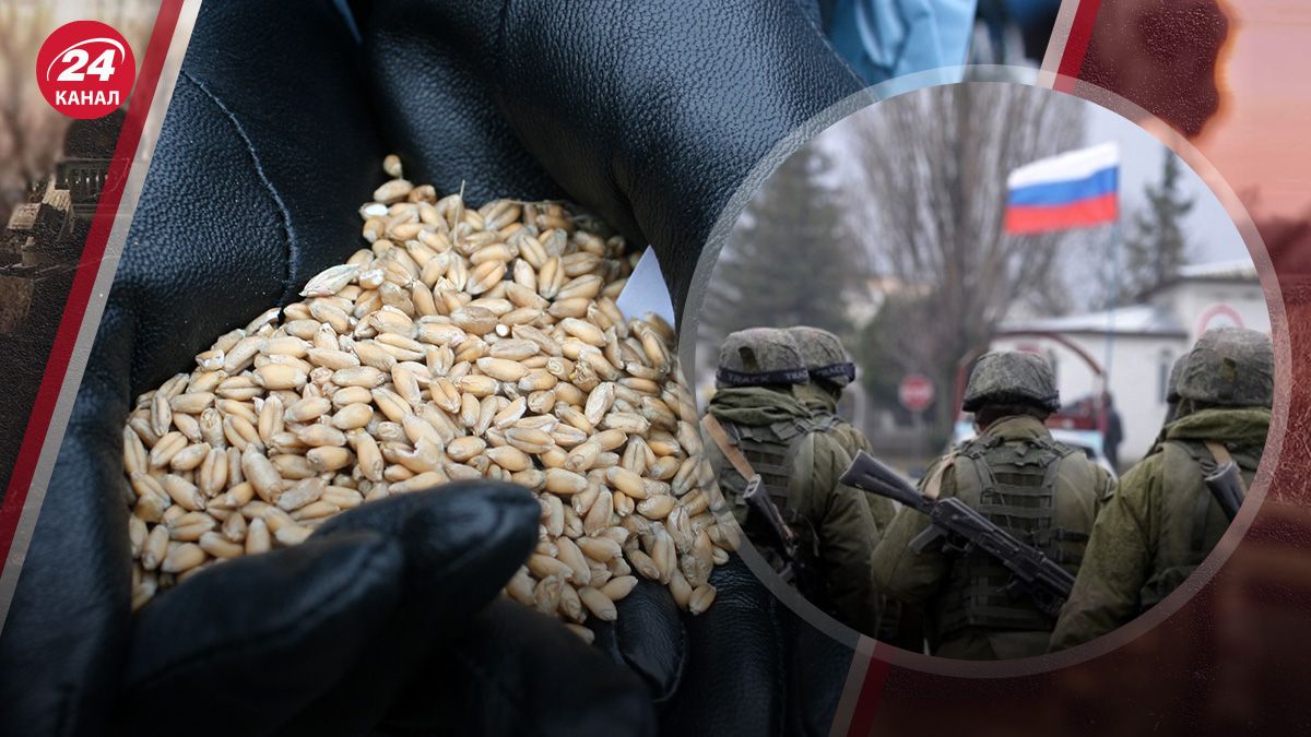 Скільки насправді росіяни вивезли українського зерна в Туреччину Скільки насправді росіяни вивезли українського зерна в Туреччину