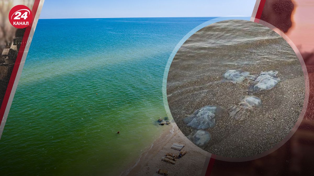 Азовское море Азовское море