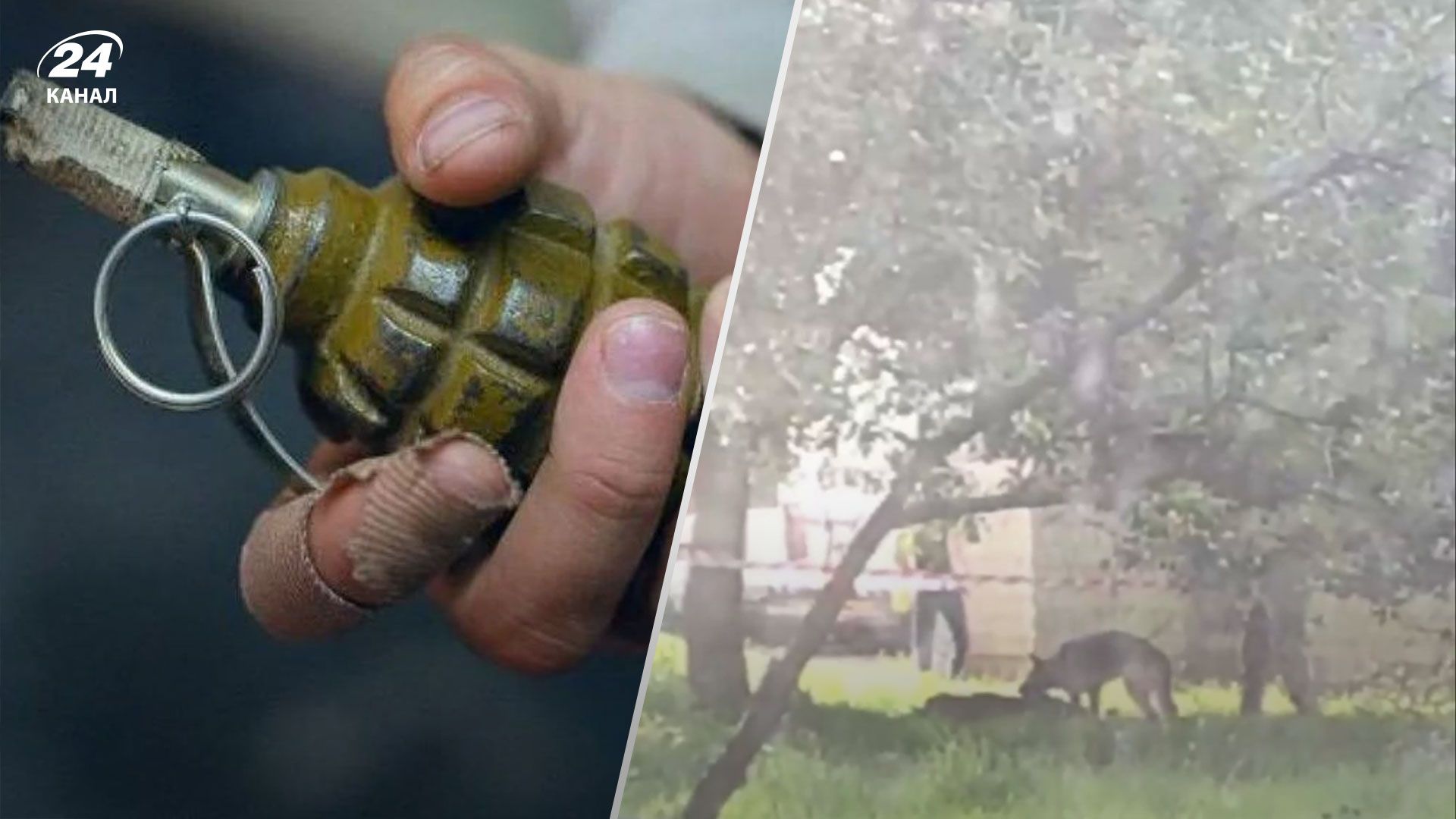 Во Львове мужчина подорвался на гранате Во Львове мужчина подорвался на гранате