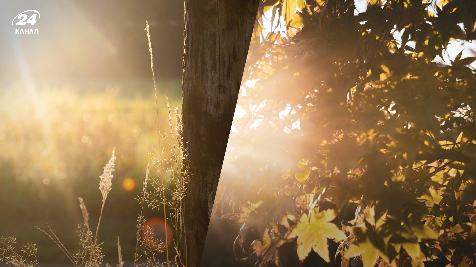 Прогноз погоды на 12 июля 2024 года Прогноз погоды на 12 июля 2024 года