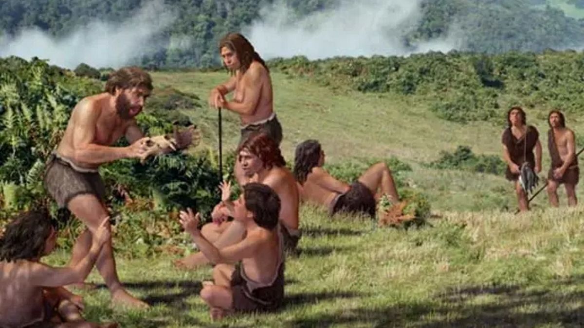 Неандертальцы растворились в современной человеческой популяции, а не вымерли, как вид