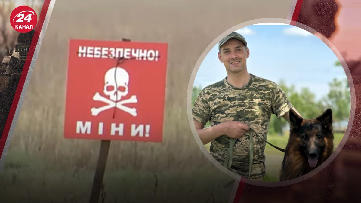 Як чотирилапі сапери розміновують деокуповані території Як чотирилапі сапери розміновують деокуповані території