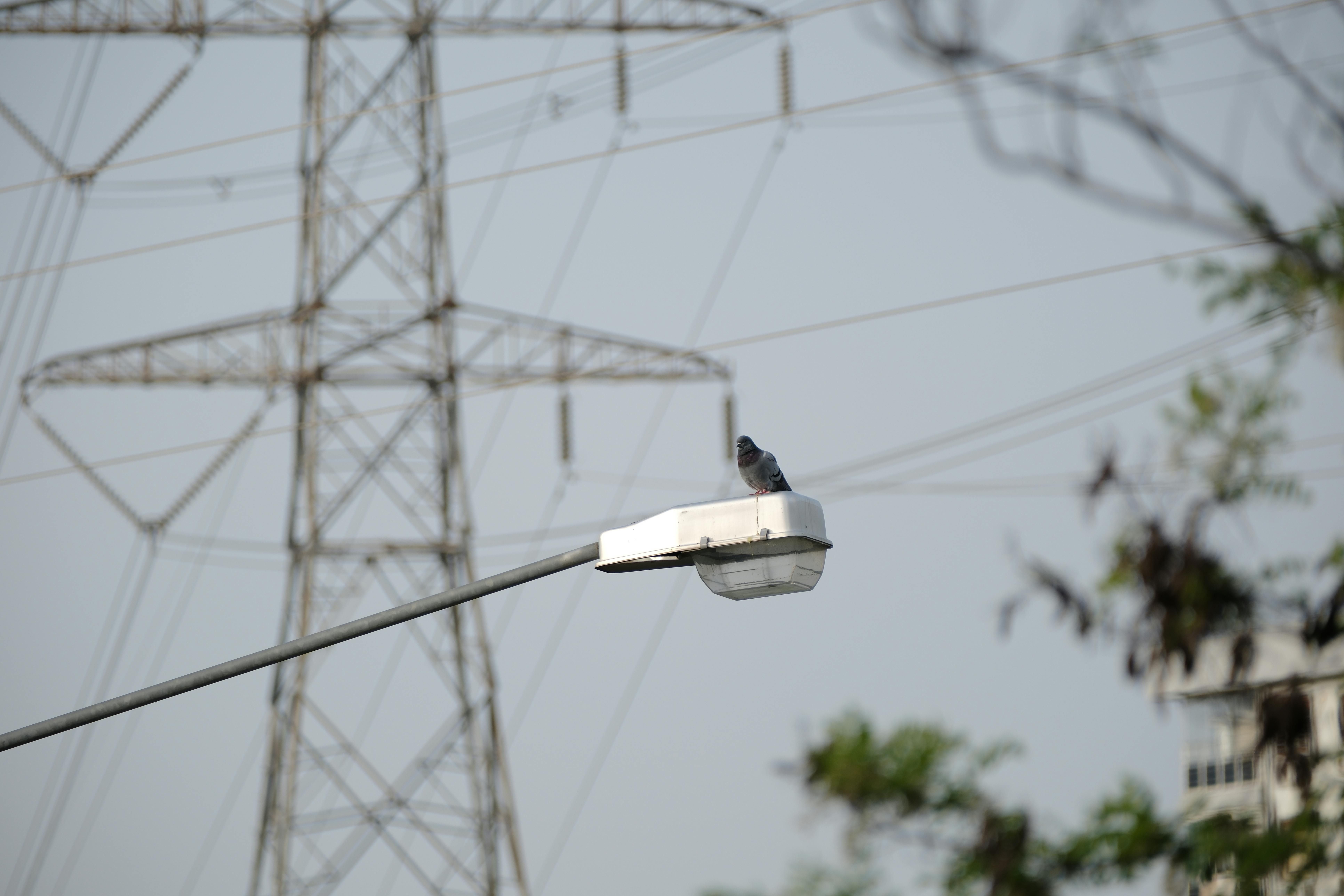 Какую программу внедряет КГГА Какую программу внедряет КГГА