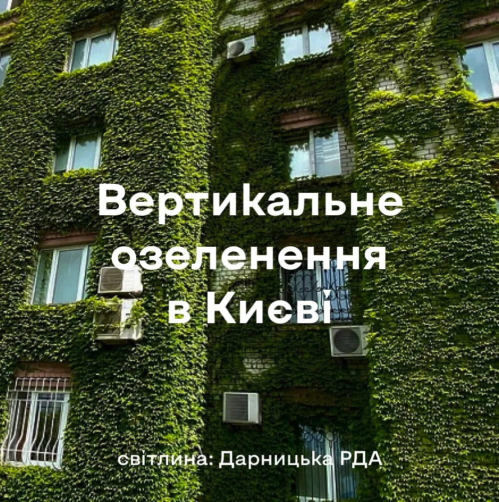 вертикальне озеленення в Києві на Дарниці