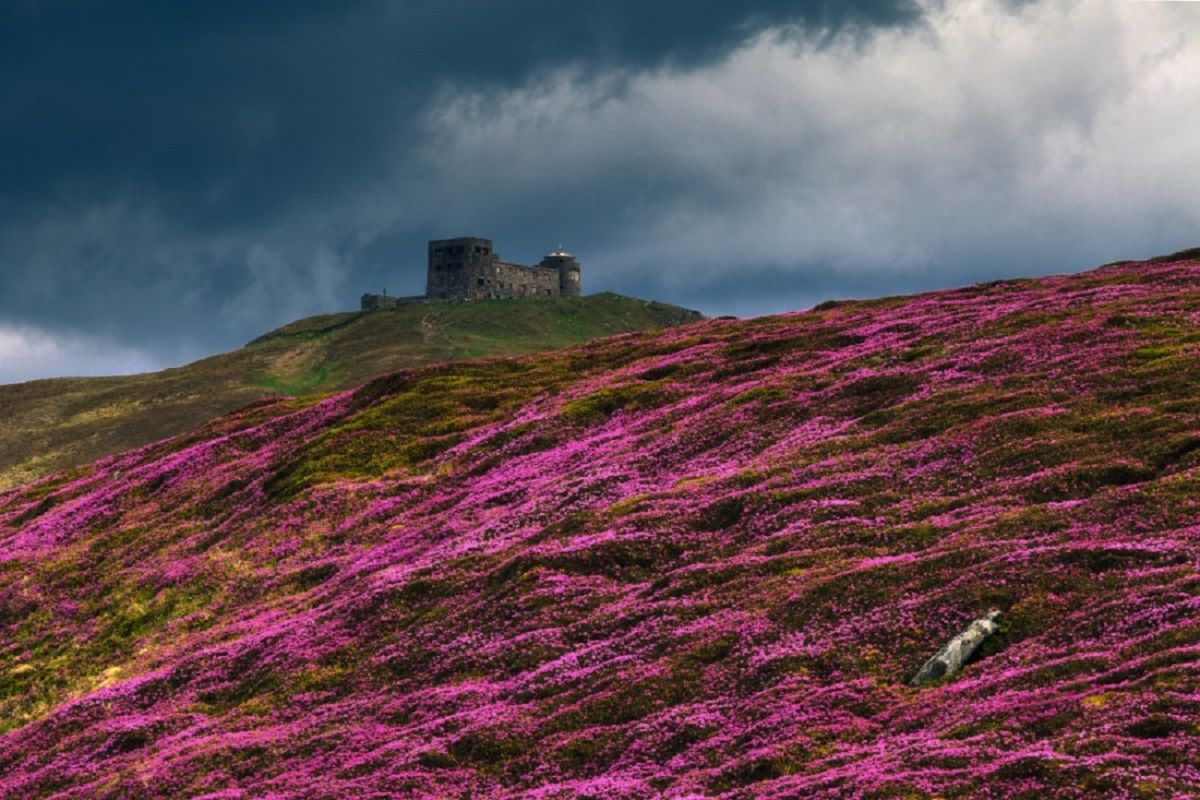 Запрет на походы в горы: на какие вершины Карпат нельзя подниматься - 24 Канал Запрет на походы в горы: на какие вершины Карпат нельзя подниматься - 24 Канал