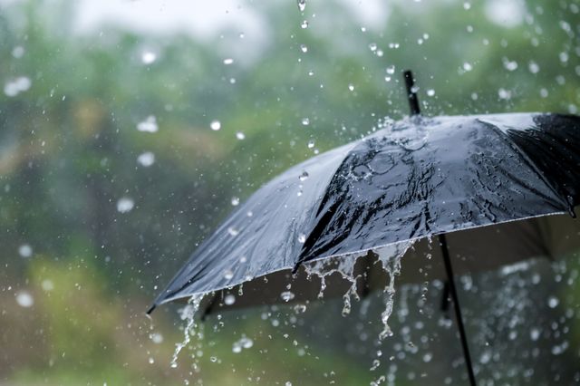 週末の天気 – 7月20日と21日に雨や雷雨が降る地域はどこでしょうか？