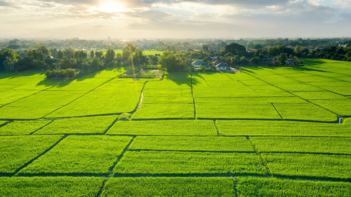 Налоги пенсионеров Налоги пенсионеров