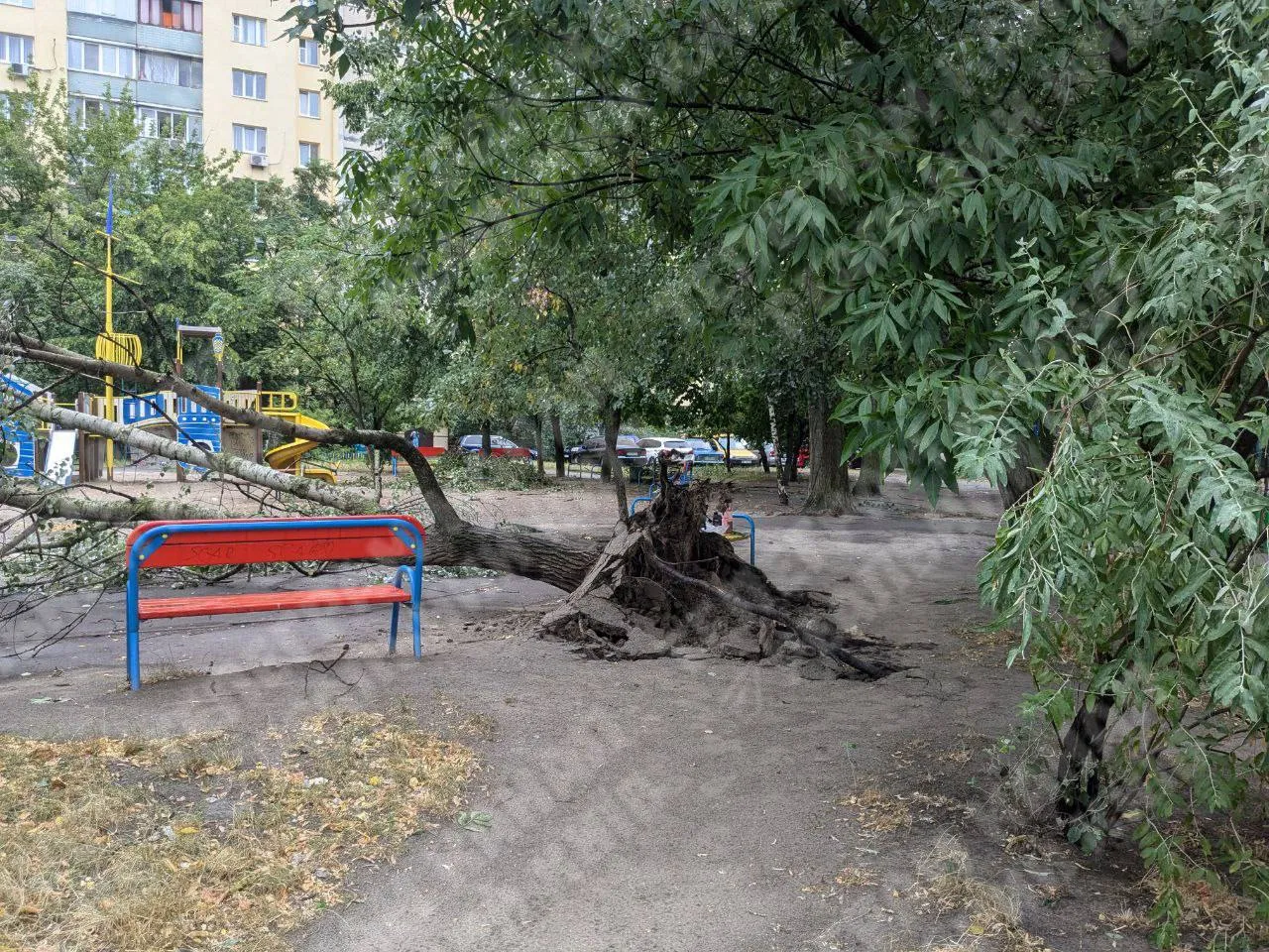 Дощ у Києві, негода, дерево впало на майданчик