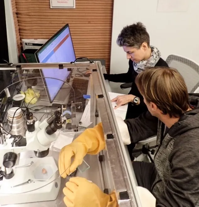 Ученые за работой Ученые за работой