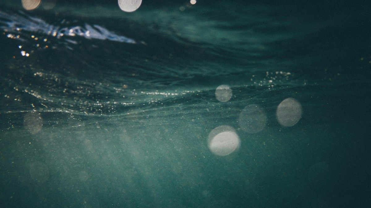 Кислород может образовываться в темноте океана без фотосинтеза и живых организмов