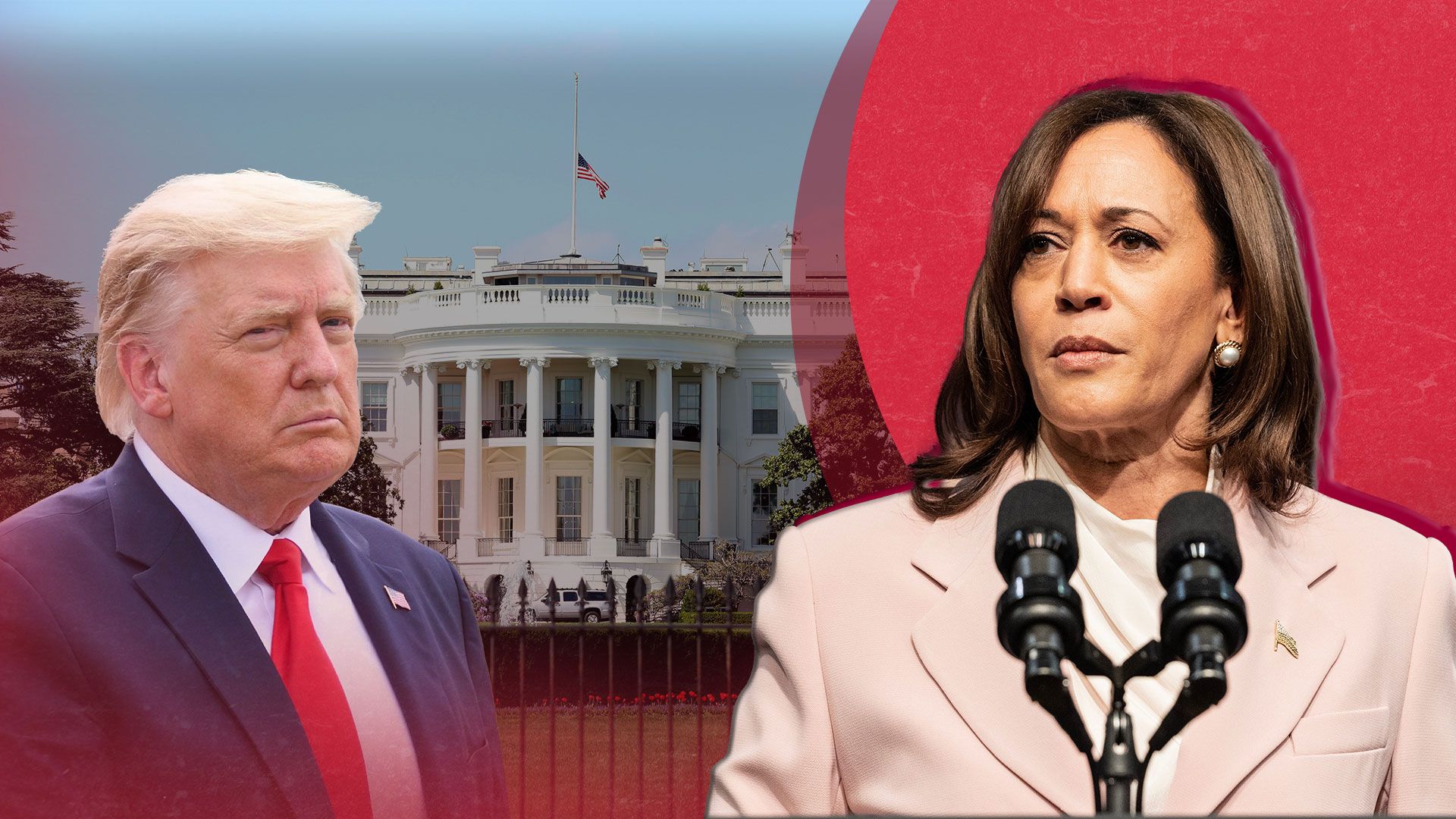 Выборы США 2024 - какие шансы у Харрис победить Трампа - анализ - 24 Канал Выборы США 2024 - какие шансы у Харрис победить Трампа - анализ - 24 Канал