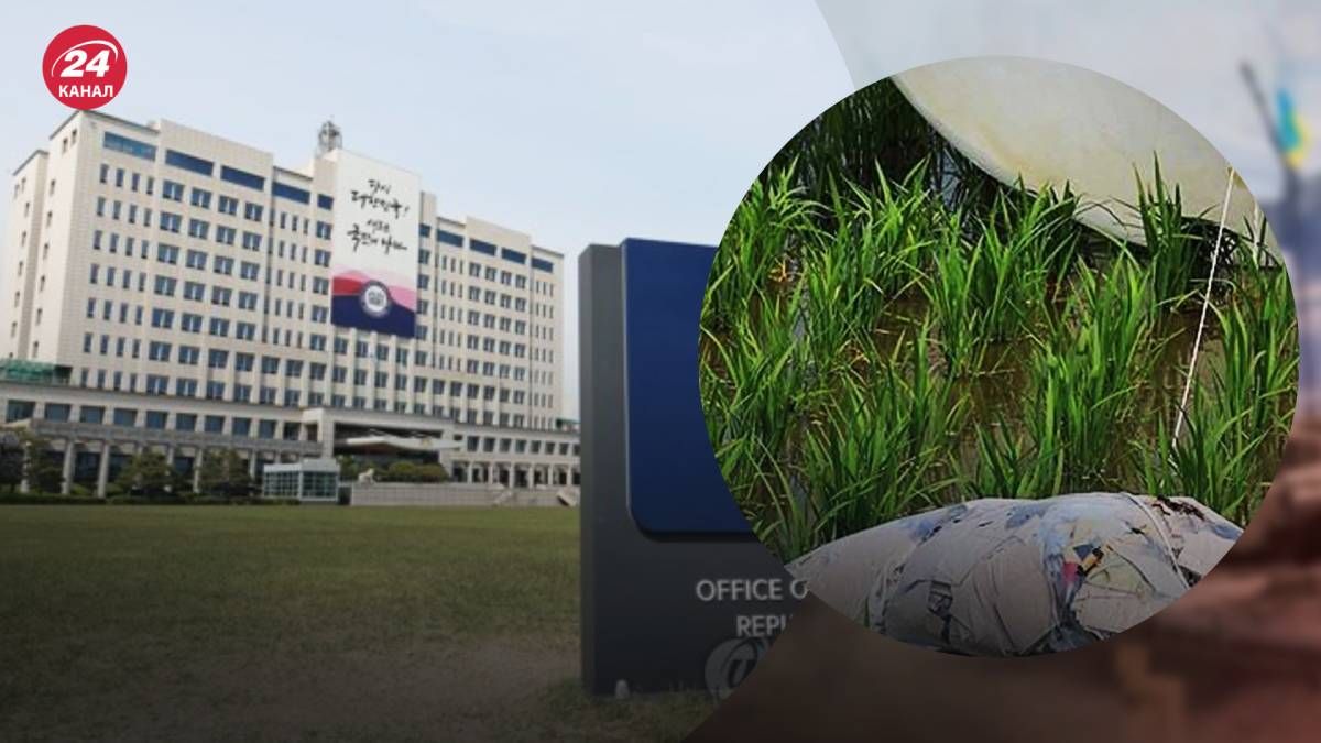 Пхеньян закидує Сеул кулями зі сміття Пхеньян закидує Сеул кулями зі сміття