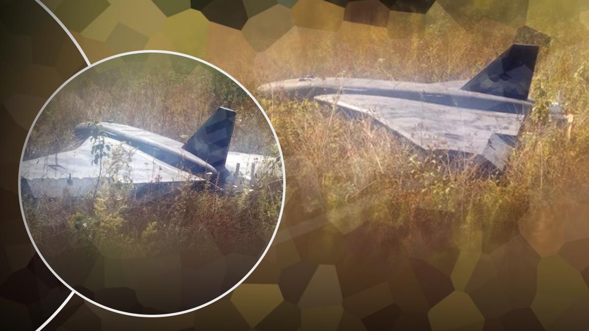 Аналитики рассказали о сбивании  еще одного неизвестно дрона Украиной