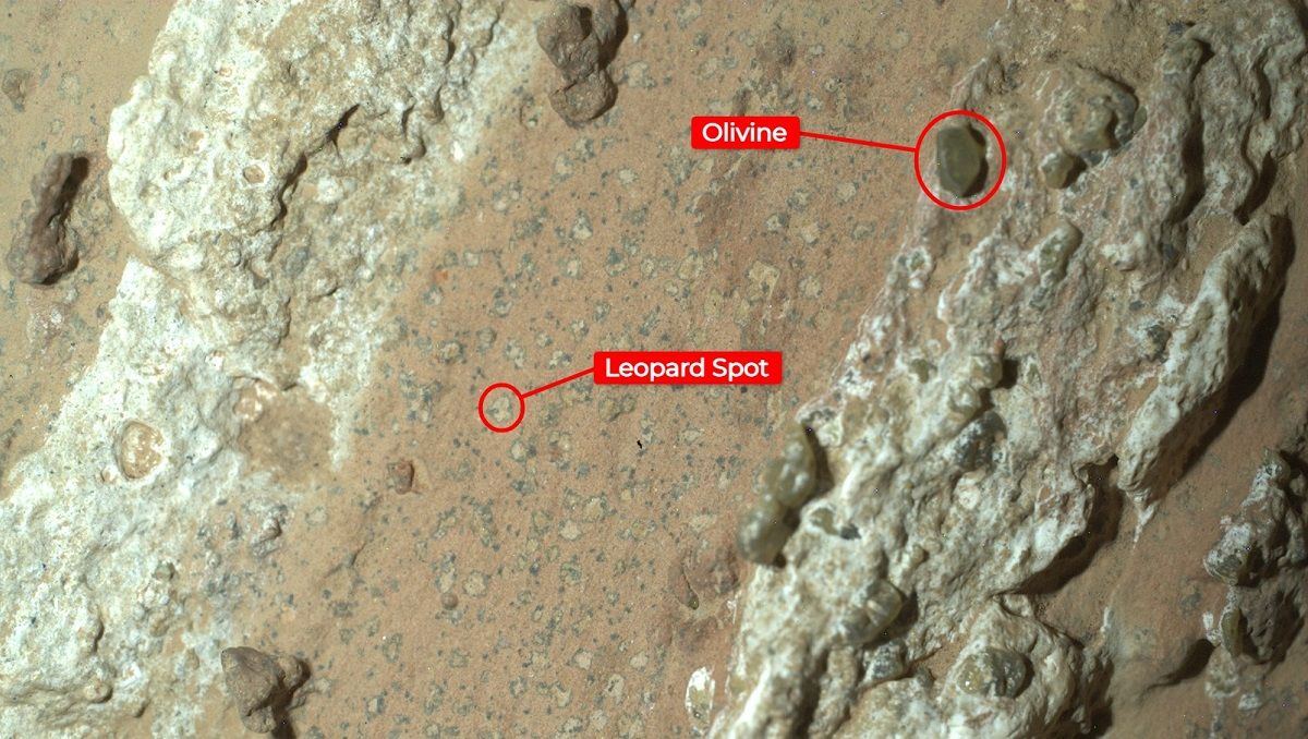 Обнаруженные следы в марсианской породе