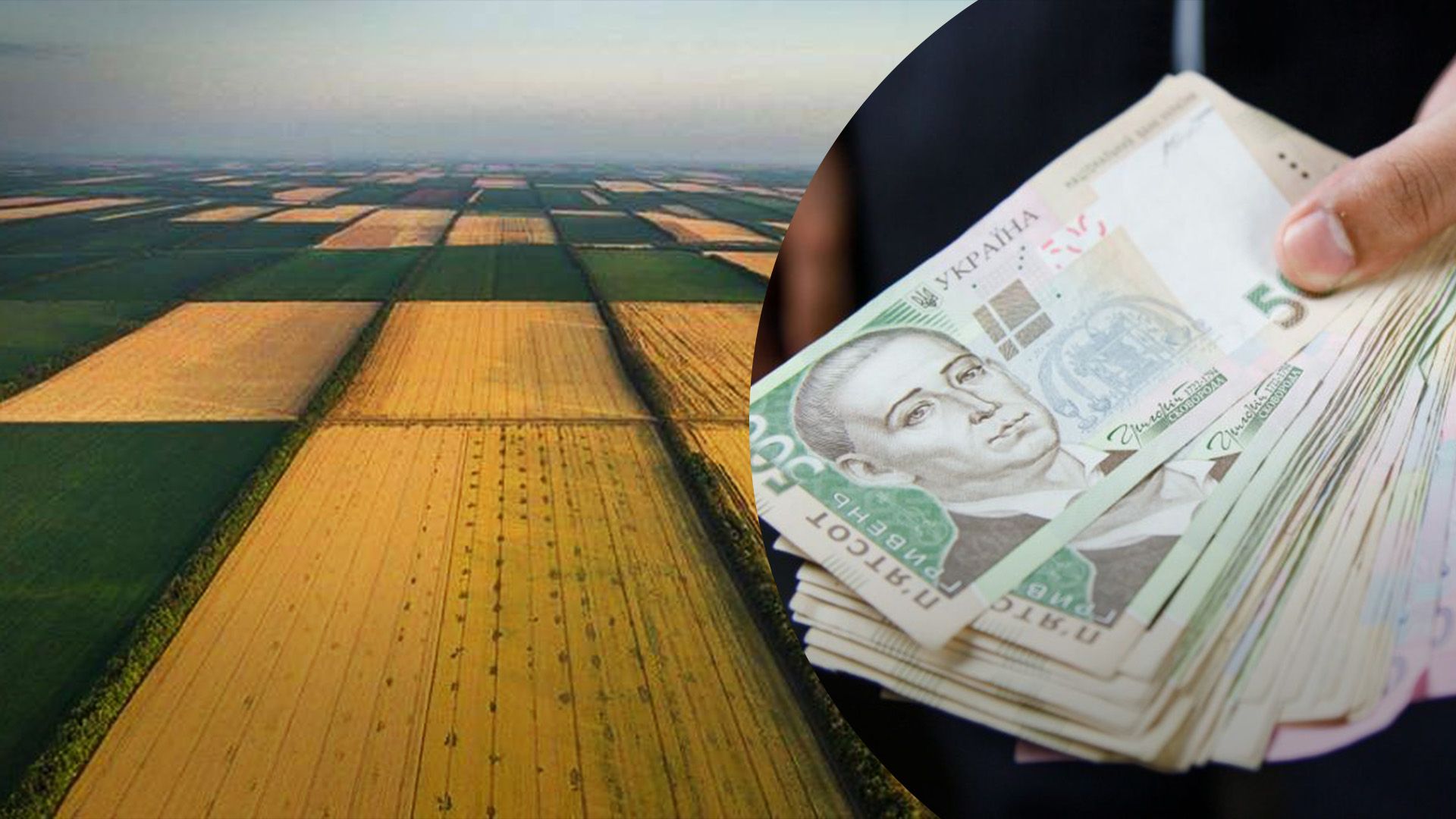 У травні земля була найдорожча за увесь час У травні земля була найдорожча за увесь час