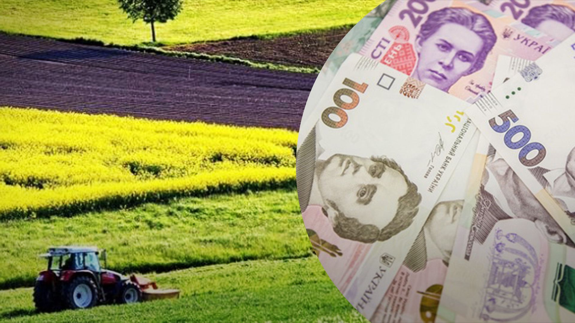 Якою буде мінімальна та максимальна ціни на оренду землі Якою буде мінімальна та максимальна ціни на оренду землі