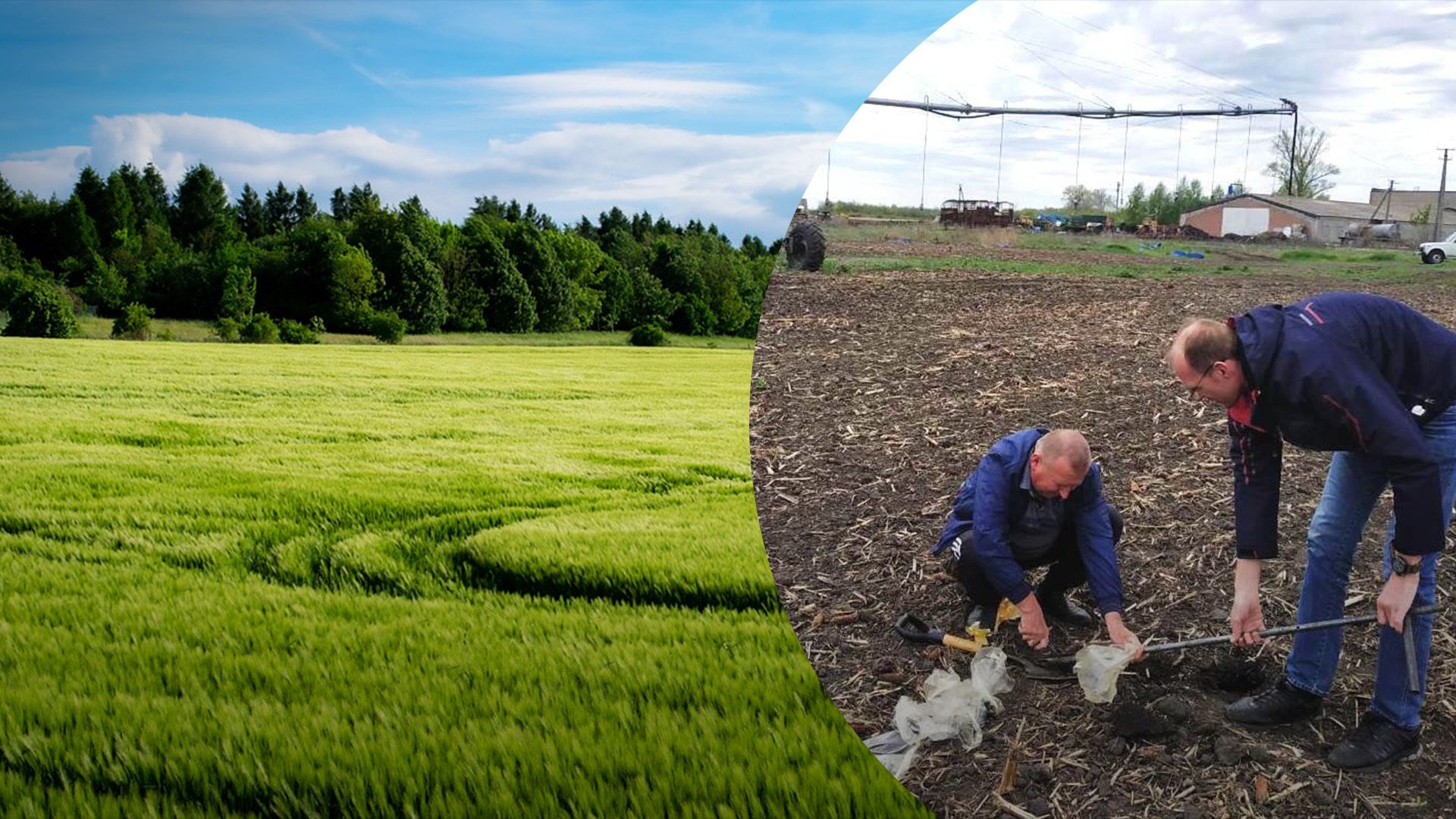 Уряд змінив порядок моніторингу земель Уряд змінив порядок моніторингу земель