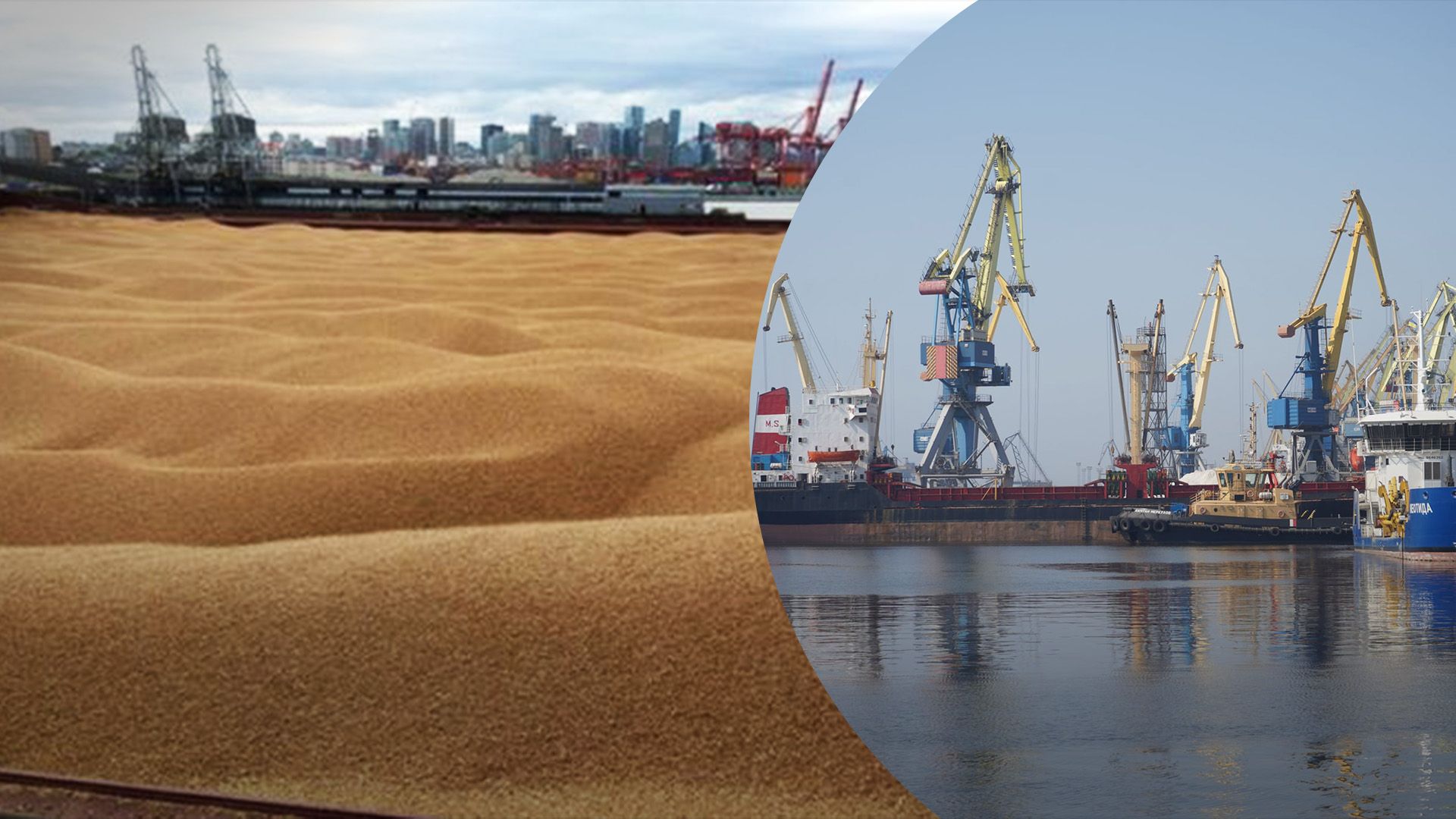 Росіяни планують вивозити більше краденого зерна Росіяни планують вивозити більше краденого зерна