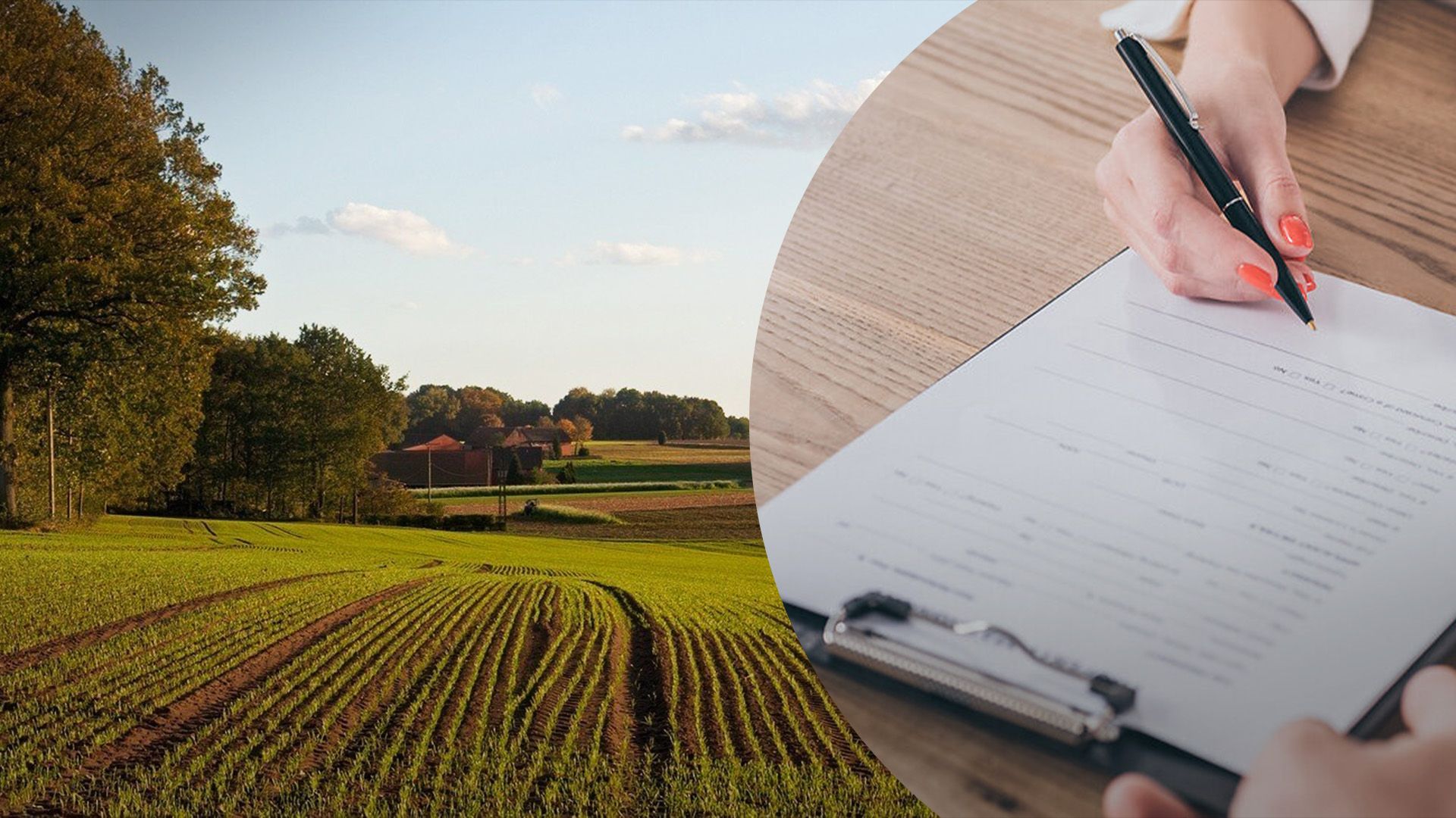 Як приватизувати ділянку Як приватизувати ділянку