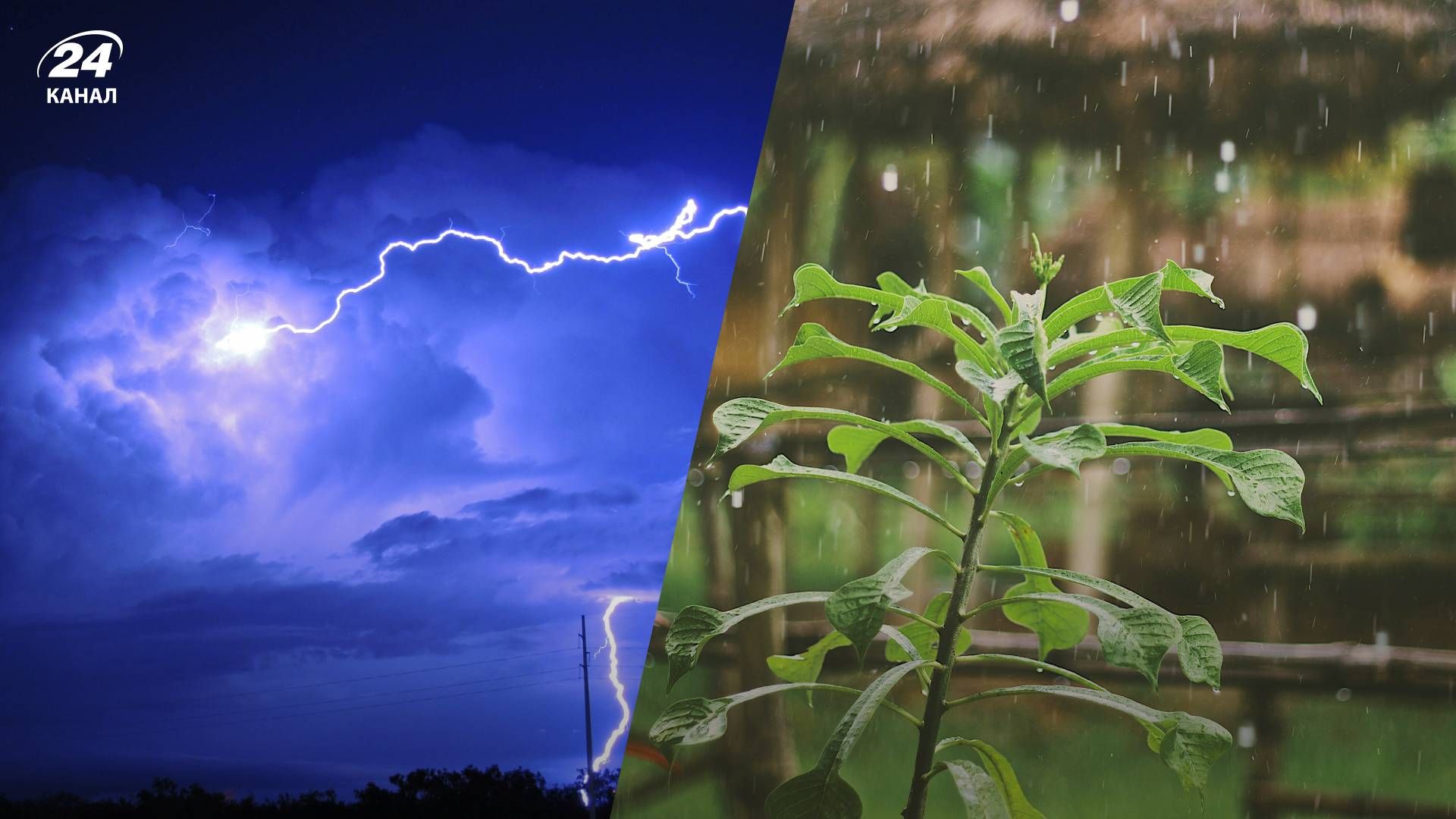 Прогноз погоды в Украине на 29 июля 2024 года Прогноз погоды в Украине на 29 июля 2024 года