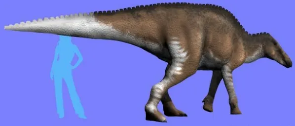 Riabininohadros Riabininohadros