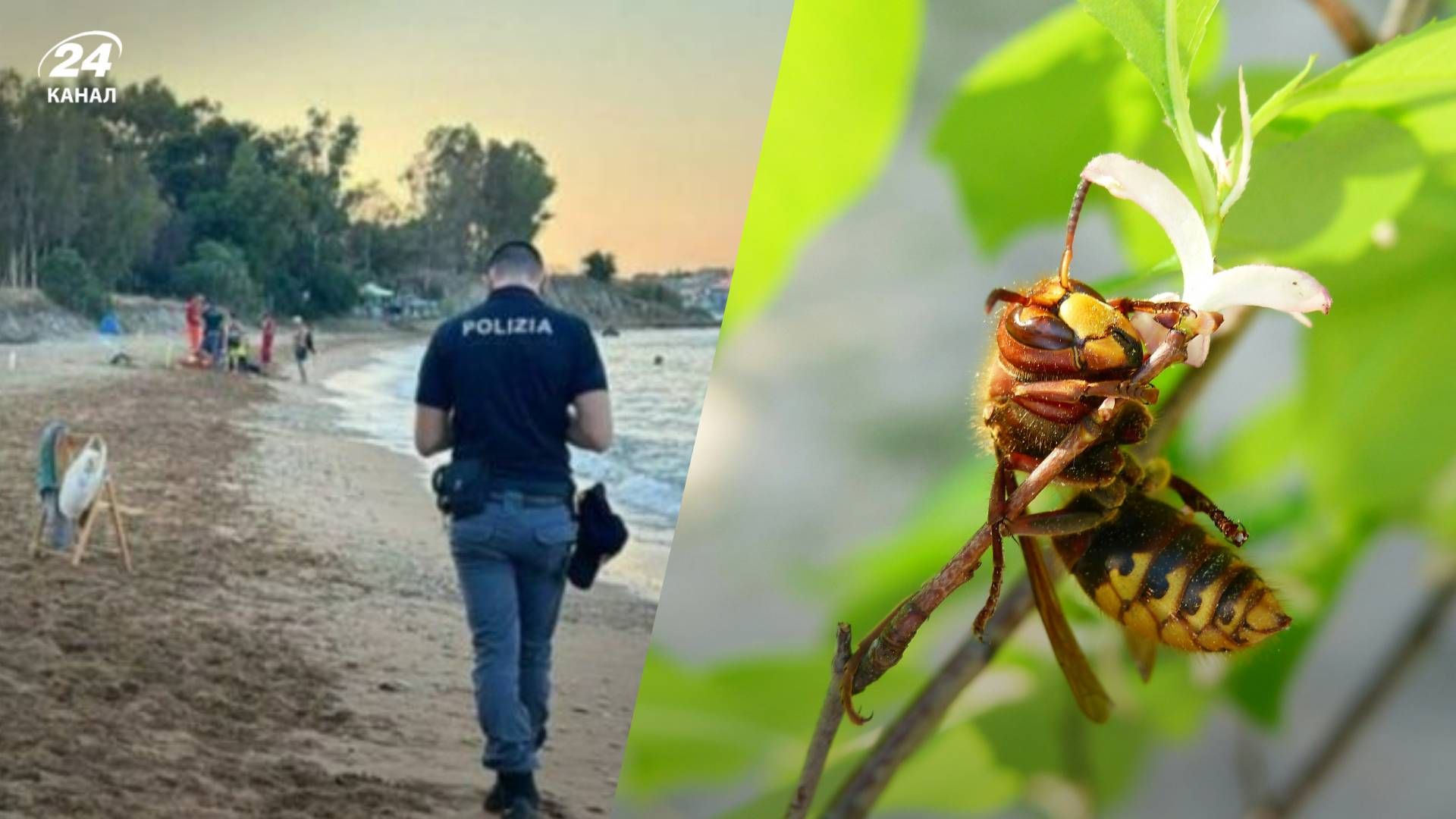 Українець в Італії помер рятуючись від ос Українець в Італії помер рятуючись від ос