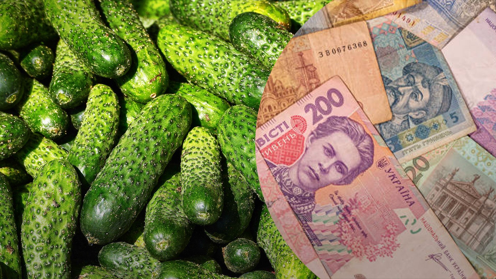 Огурцы подорожали в Украине Огурцы подорожали в Украине
