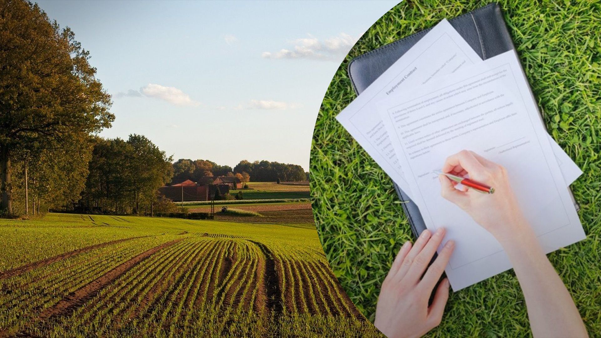 Як приватизувати землю Як приватизувати землю