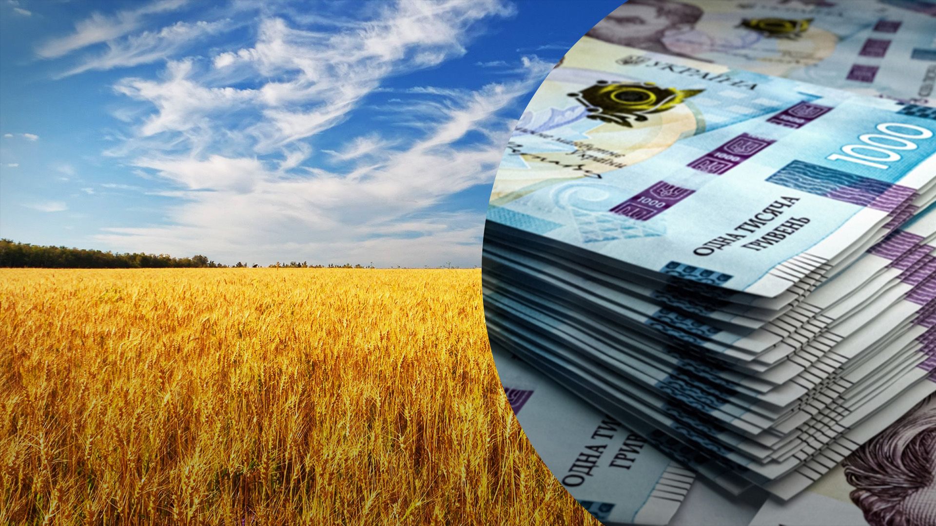 Ціни на землю змінились Ціни на землю змінились