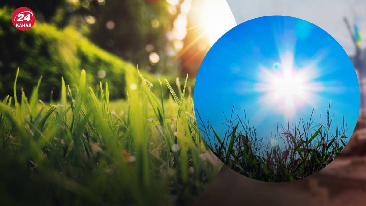 Прогноз погоды на 30 и 31 июля Прогноз погоды на 30 и 31 июля