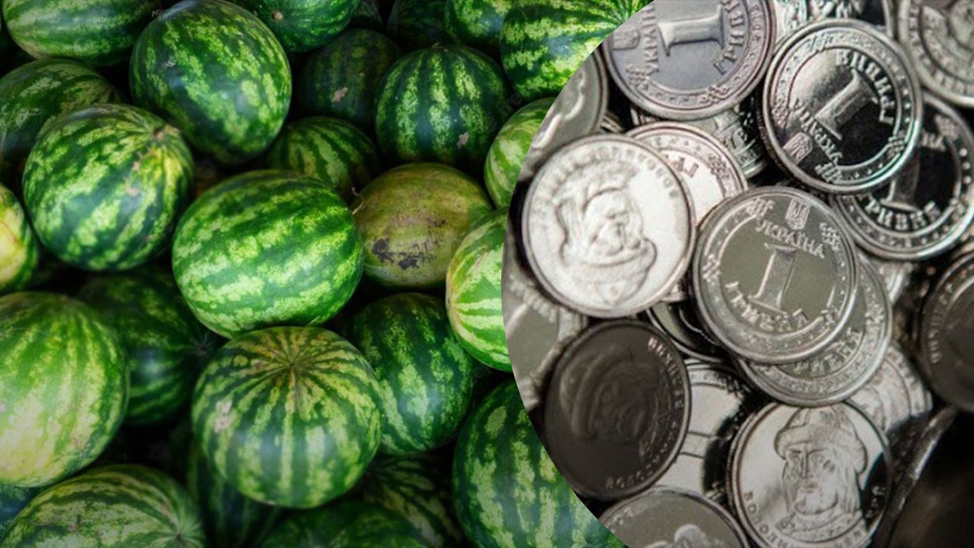 Арбузы подешевели за год Арбузы подешевели за год