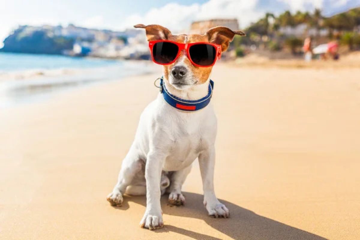 Синонимы на украинском - как еще красиво назвать жару Синонимы на украинском - как еще красиво назвать жару