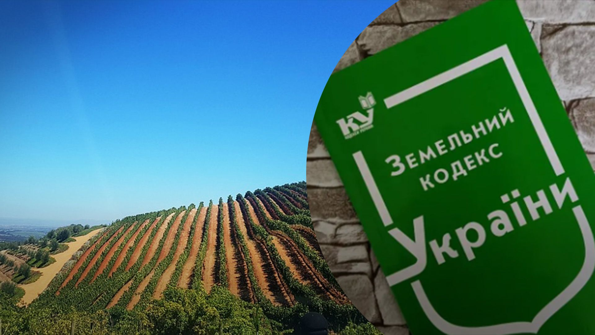 Кто имеет право на бесплатный участок Кто имеет право на бесплатный участок